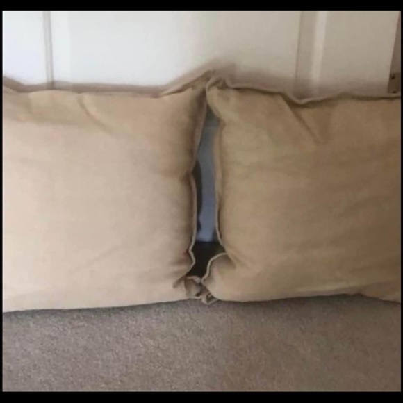 NWT pair of Crate & Barrel pillows - Picture 1 of 6